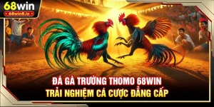 Đá Gà Trường Thomo 68WIN - Trải Nghiệm Cá Cược Đẳng Cấp