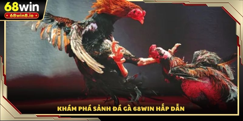 Khám phá sảnh đá gà 68WIN hấp dẫn 