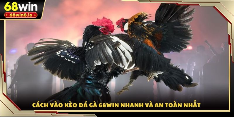 Cách vào kèo đá gà 68WIN nhanh và an toàn nhất 