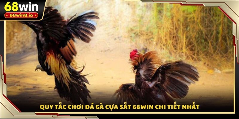 Quy tắc chơi đá gà cựa sắt 68WIN chi tiết nhất