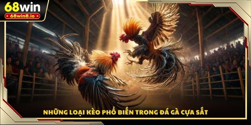 Những loại kèo phổ biến trong đá gà cựa sắt