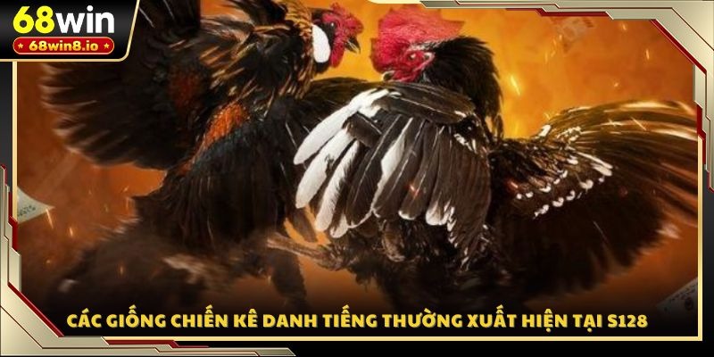 Các giống chiến kê danh tiếng thường xuất hiện tại S128