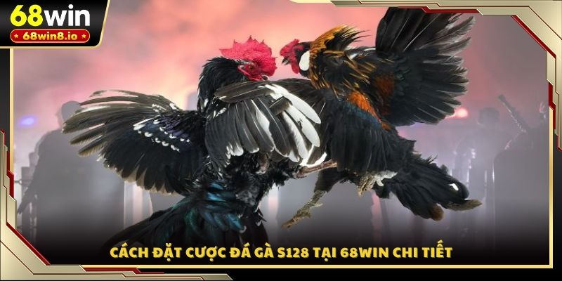 Cách đặt cược đá gà S128 tại 68WIN chi tiết
