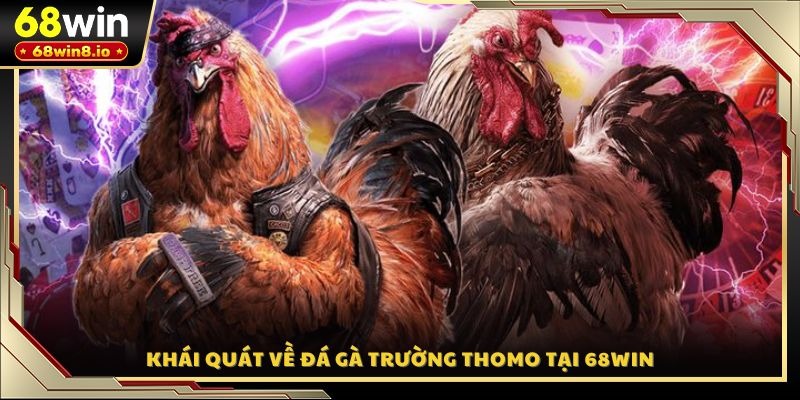 Khái quát về đá gà trường Thomo tại 68WIN