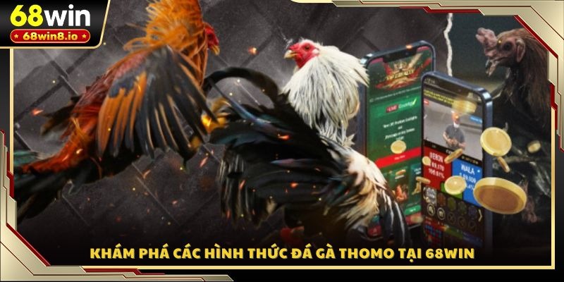 Khám phá các hình thức đá gà Thomo tại 68WIN
