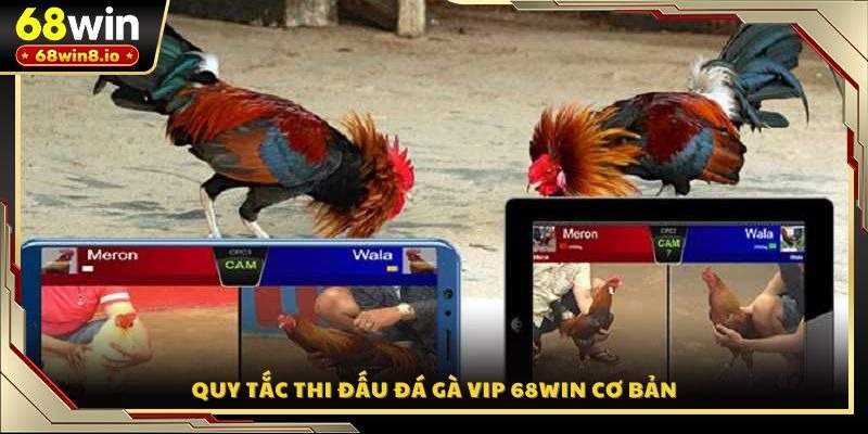 Quy tắc thi đấu đá gà VIP 68WIN cơ bản