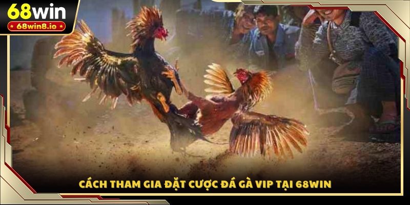 Cách tham gia đặt cược đá gà VIP tại 68WIN